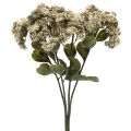 Floristik24 Stonecrop krem sedum stonecrop kunstige blomster 48cm 4stk