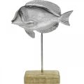 Floristik24 Fisk til plass, maritim dekorasjon, dekorative fisk laget av metall sølv, naturlige farger H23cm