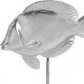 Floristik24 Fisk til plass, maritim dekorasjon, dekorative fisk laget av metall sølv, naturlige farger H23cm