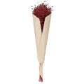 Lin Bordeaux røde tørkede dekorasjonsblomster L55cm 80g | Floristik24.no