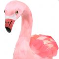 Floristik24 Dekorativ flamingo med fjærrosa H45cm