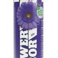 Floristik24 Flower Decor Purple 400 ml spray