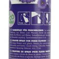 Floristik24 Flower Decor Purple 400 ml spray