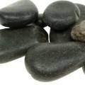 Floristik24 River Pebbles Matt Svart Naturstein Dekorative Stones L15–60 mm B15–40 mm 2 kg