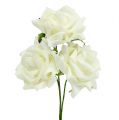 Floristik24 Skumrose Ø7,5cm Kremfarget 18 stk