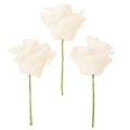 Kunstig rose, kremfarget, 10 cm blomst på stilk, 100 stk. | Floristik24.no
