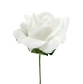 Skumrose Ø 3,5cm hvit 48 stk | Floristik24.no