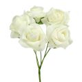 Floristik24 Skumrose Ø3,5 cm kremfarget 48 stk