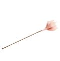Floristik24 Skumblomst magnolia rosa Ø15cm L65cm