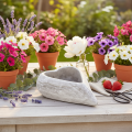 Dekorativ hjerteformet skål, grå; liten hjerteformet blomsterpotte, 19 cm | Floristik24.no