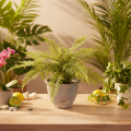 Kunstig bregne i en blomsterpotte til stue og kontor, 35 cm | Floristik24.no