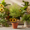 Kunstig grønn Ruscus-gren til blomsterdekorasjon, 41 cm | Floristik24.no