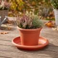Coaster “Linda” Ø30cm terrakotta | Floristik24.no