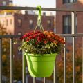 Hengende kurv 25cm grønn | Floristik24.no