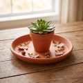 Coaster Middelhavet, keramikkskål terrakotta Ø10,7cm | Floristik24.no