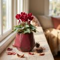 Blomsterpotte Keramisk Plantekar Rød Sekskant Ø10cm H9cm | Floristik24.no