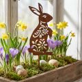 Hage Stake Rust Bunny Blomstermønster Hagepynt Påske 9×15cm | Floristik24.no