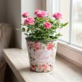 Plantekar, bøtte for planting, plantekasse med rose H13cm Ø13,5cm | Floristik24.no