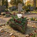 Plantekar Hjerte Vine Moss 21cm x 26cm H6cm | Floristik24.no