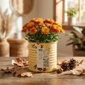 Dekorativ blikk, sommeraprikosfarget, metallblikk, blomsterpotte, Ø8 cm H7,5 cm | Floristik24.no