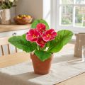 Primroser kunstige blomster Cowslips Rosa H25cm | Floristik24.no