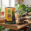 Frux Grønn Plante- og Palmejord med Langtidsvirkende Gjødsel 10 l | Floristik24.no