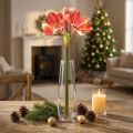 Kunstig Amaryllis Rosa og Krem – Stor stilkblomst 76cm | Floristik24.no