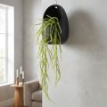 Kunstig plante av grønn hirse for elegante hengende dekorasjoner, stilige romdetaljer, 114 cm | Floristik24.no