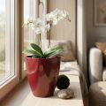 Orkidepotte blank Ø12,5cm Bordeaux 1 stk | Floristik24.no