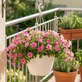 Hengende kurv Galicia Ø30cm hvit | Floristik24.no