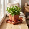 Coaster Lara square 29cm x 29cm terracotta 1 stk | Floristik24.no