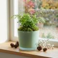 Glass blomsterpotte grønn plantekasse glassbalje Ø14,5cm H12,5cm | Floristik24.no