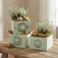Planteboks dekorativ skuff shabby grønn 15-23cm sett med 3 stk | Floristik24.no