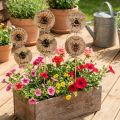 Blomsterplugg trebi dekorativ plugg med ordtak 7x27,5cm 12 stk. | Floristik24.no