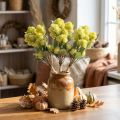 Fat Høne Grønn Sedum Stonecrop Kunstige Blomster 41cm 3stk | Floristik24.no