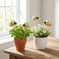 Marihøne dekorative blomsterplugger tre 2,5x3,5x2cm 32stk | Floristik24.no