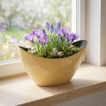 Plantebåt gul dekorativ bollefjær 20x9x12cm | Floristik24.no