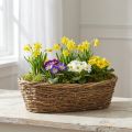 Naturlig plantepotte av slyngplante, oval blomsterpotte, 40x19x11,5 cm | Floristik24.no