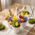 Blomsterpinne Kaninved Natur,
