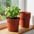 Plantepotte plast innerpotte Ø15cm 10stk | Floristik24.no
