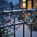 LED ris lett kjede 40s 3m for utvendig kald hvit | Floristik24.no
