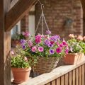 Kurvlampe natur Ø30cm | Floristik24.no