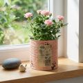Blomsterpotte dekorativ boks laks metall planter Ø15,5 cm H15 cm | Floristik24.no