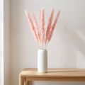 Pampas gress dekorasjon, Pampas gress tørket Pampas gress rosa 72cm 6 stk. | Floristik24.no
