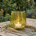 Lanterne glass dekorasjon vintage gul grønn Ø12cm H12,5cm | Floristik24.no