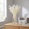 Gypsophila hvittørket gress dekorasjonskrem 65-70cm 100g | Floristik24.no