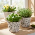 Blomsterpotte med barkutseende, ideell for rustikk interiørdesign og plantedekorasjon, 12 cm, 4 deler | Floristik24.no