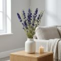 Tørket delphinium, tørr blomsterdekor, delphinium blå L64cm 25g | Floristik24.no
