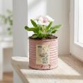 Blomsterpotte dekorativ blikk rund antikk rose metallplanter Ø8cm H7,5cm | Floristik24.no