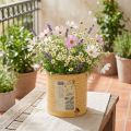 Dekorativ blikk, aprikos, metallblomsterpotte, sommerdekorasjon, Ø15,5 cm H15 cm | Floristik24.no